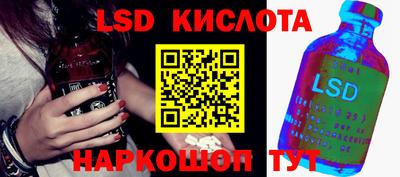 трава Партизанск