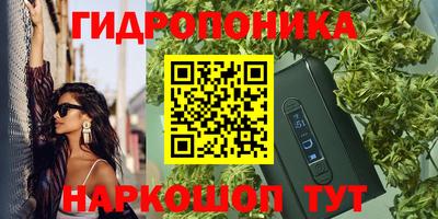 трава Партизанск